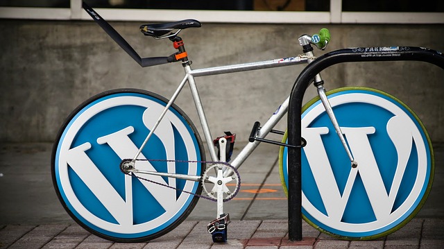 WordPress: come funziona questo CMS?